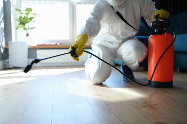 Best Local Pest Control Services  in Wapakoneta, OH